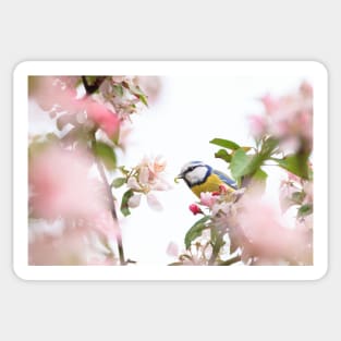 Little bird in beautiful tree worm in mouth Sticker